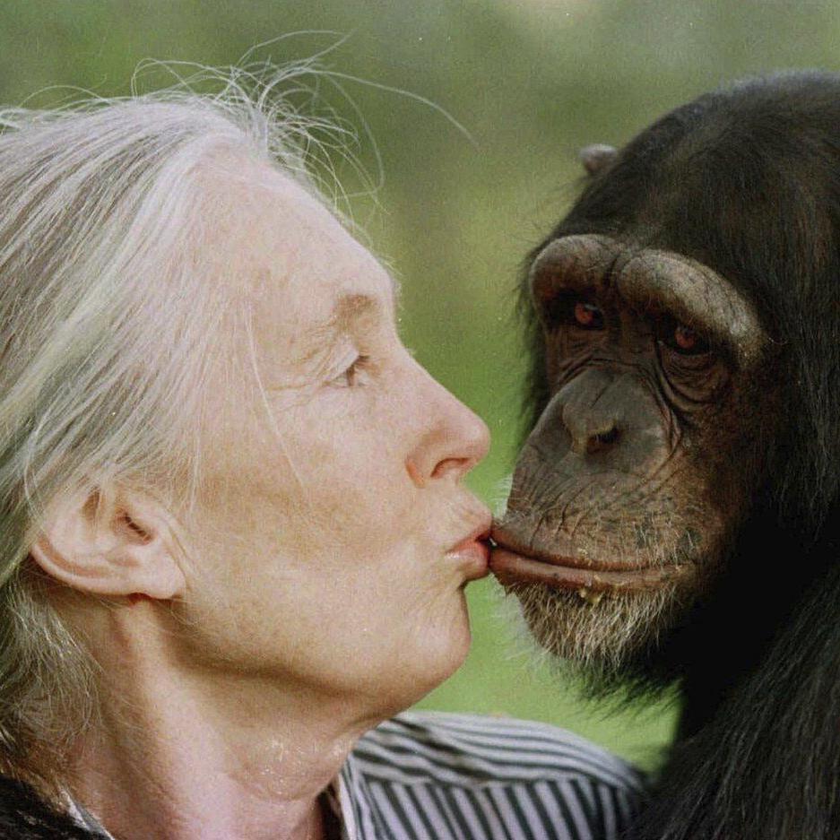 Jane Goodall, the celebrated primatologist and conservationist, has died